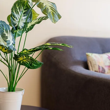 Rose 2 Duplex-clim-plage شقة مينتون